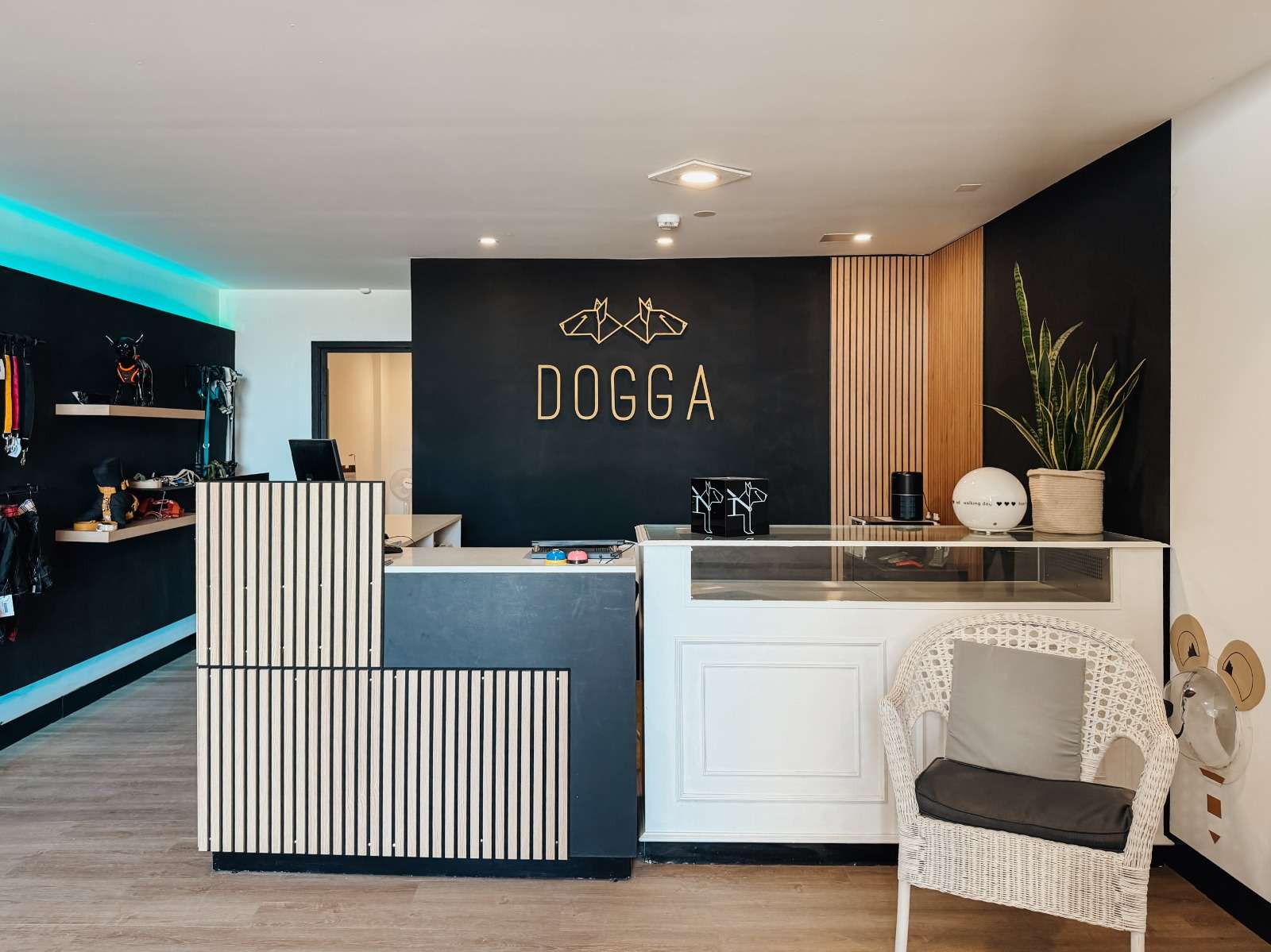 Espaços DOGGA · Porto