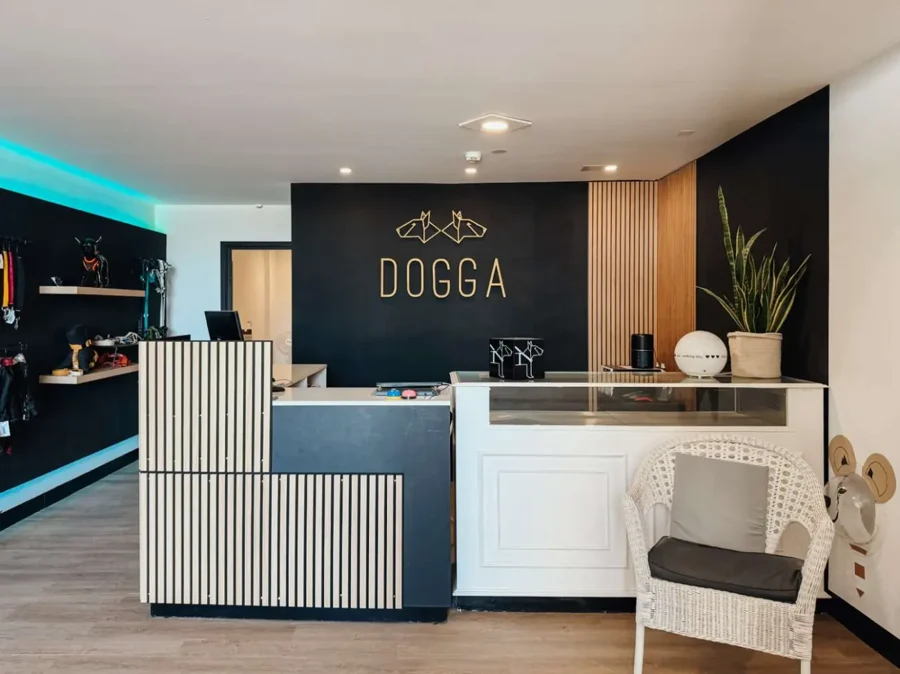 Receção da DOGGA na Rua de Francos, Porto