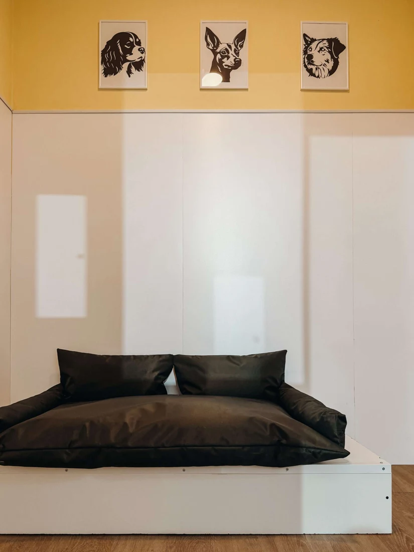 Quarto individual da DOGGA Residence, com cama e parede amarela